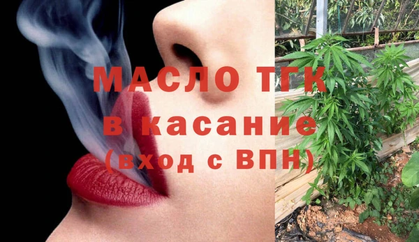 ECSTASY Каменка