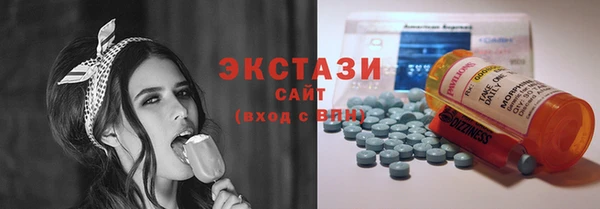 ECSTASY Каменка