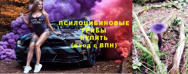 ECSTASY Каменка